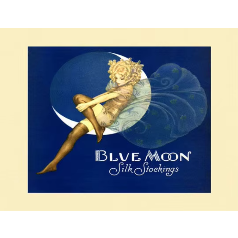 BLUE MOON Fairy Stockings Fash - Vintage Fashion Prints For Wall 리뷰 및 가격